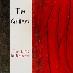 Tim Grimm - The Little In-Between  CD