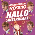 Gebroeders Rossig - Hallo Sinterklaas  CD-Single