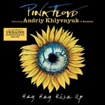 Pink Floyd - Hey Hey Rise Up Ltd.  2Tr. CD Single